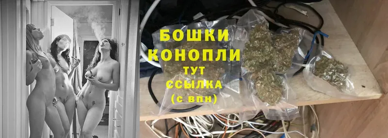 купить наркотики сайты  Магадан  Бошки марихуана OG Kush 